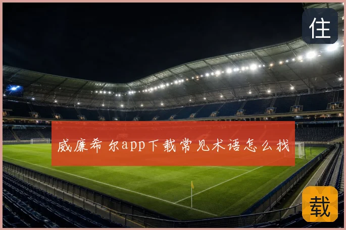 威廉希尔app下载常见术语怎么找